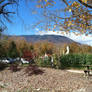 Beautiful Fall Vermont