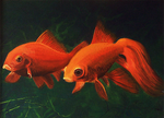 Goldfish - acrylic painting by Giselle-M