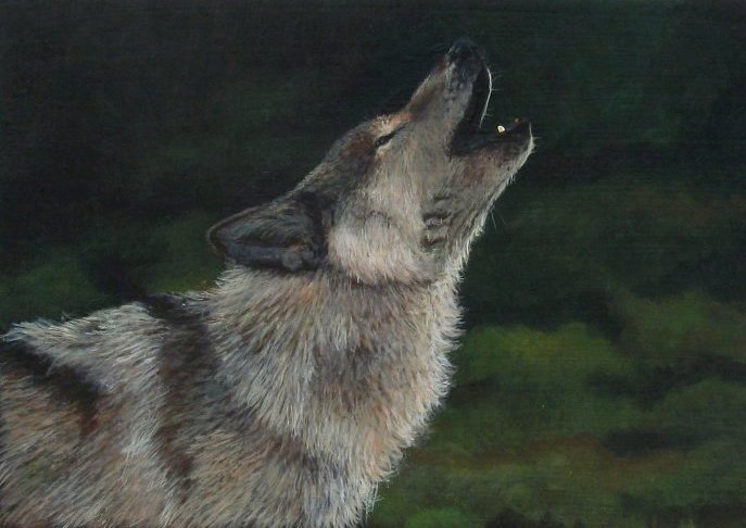 The Lone Wolf - acrylic painting