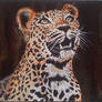 Leopard - acrylics