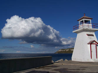 The Whale and The Lighthouse