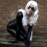 Black Cat