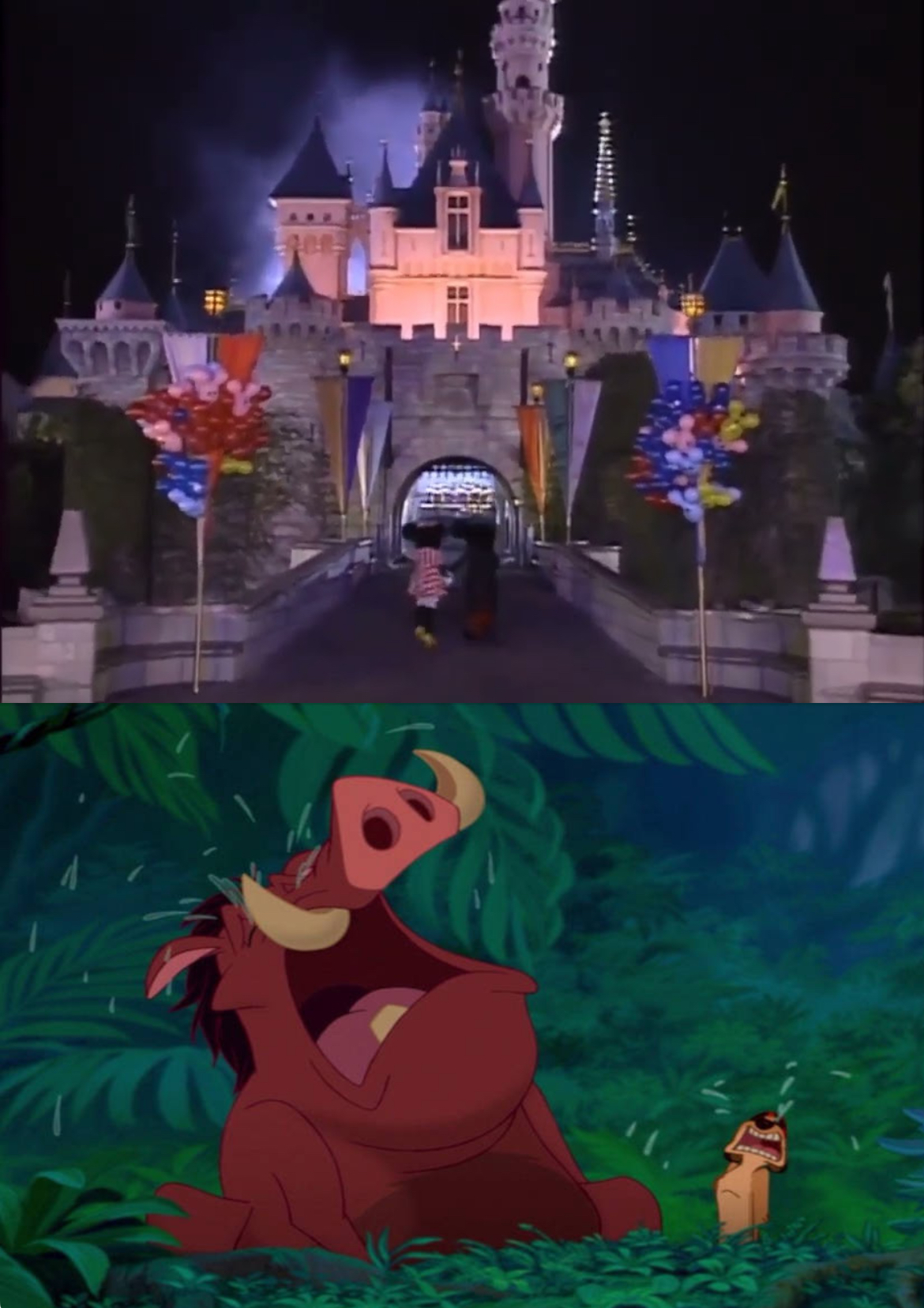 Timon and Pumbaa Cry at When You Wish Upon a Star by EdwinVazquez23 on ...