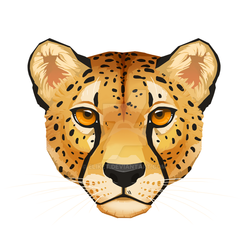 Cheetah Face by Eliket on DeviantArt