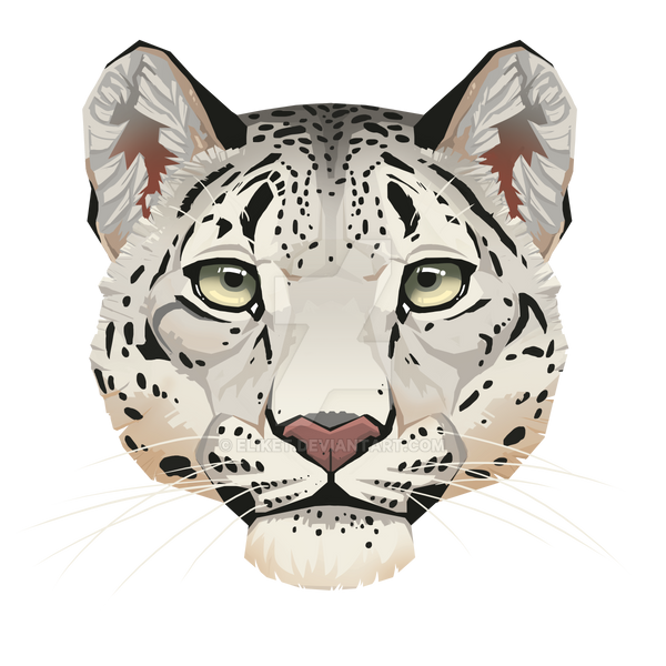 Snow Leopard Face by Eliket on DeviantArt