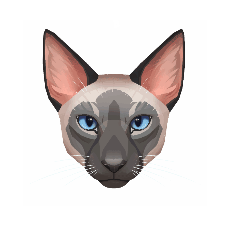 Siamese Cat Face Process! by Eliket on DeviantArt Siamese Cat Face Process! by Eliket on DeviantArt