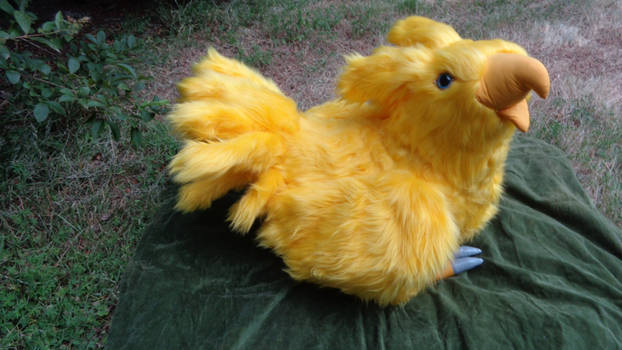 Gold Chocobo