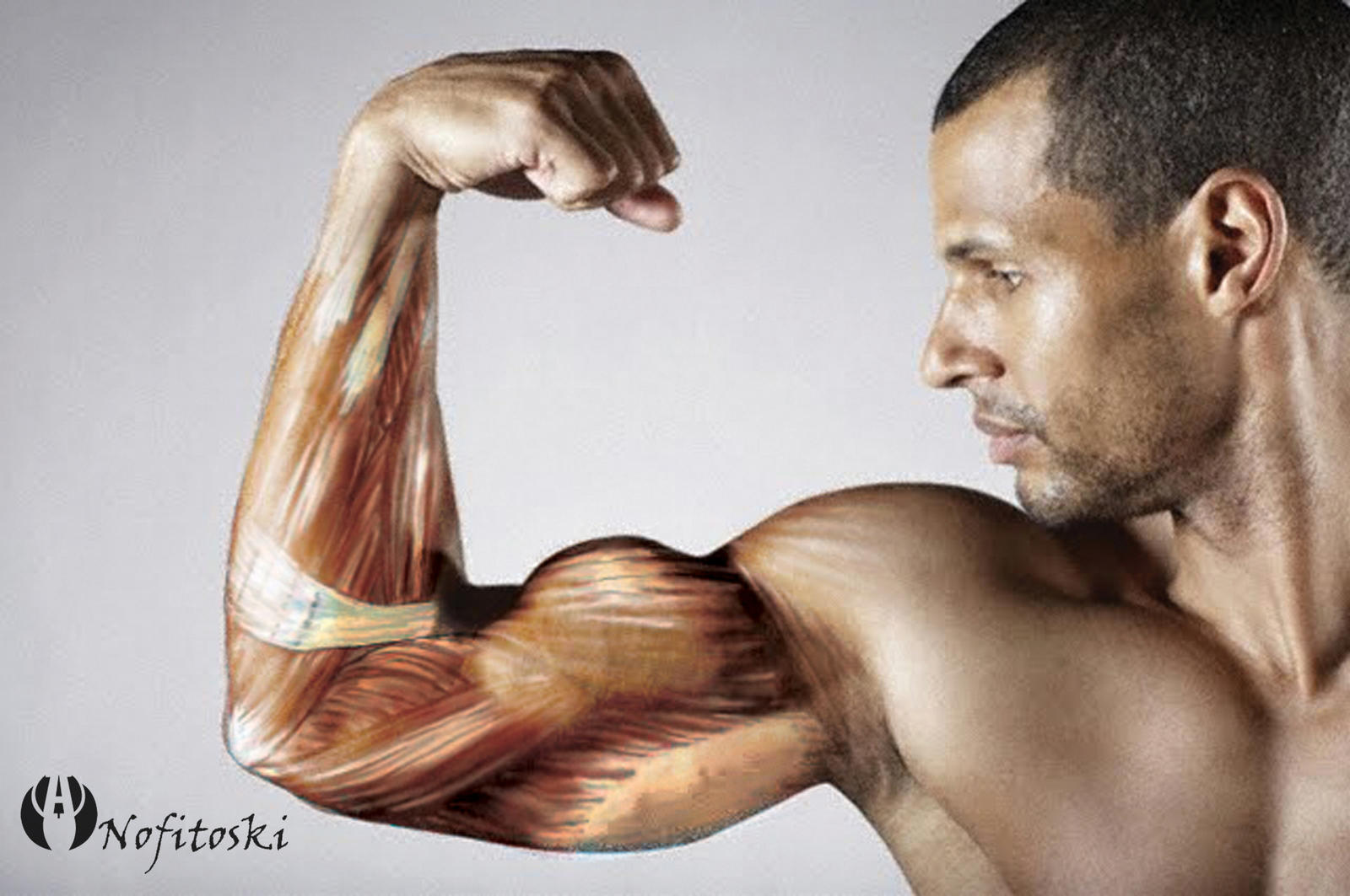 strong muscle arm