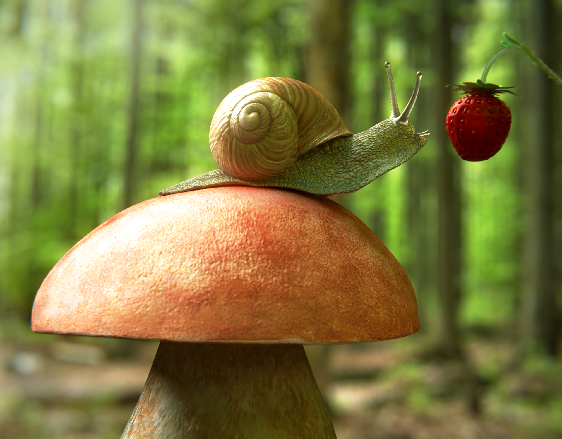 Forest fruit by LubomirCenovsky