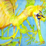 Leafy Sea Dragon - Watercolor