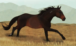 Standardbred