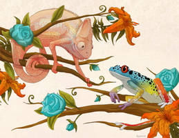 Chameleon and Frog