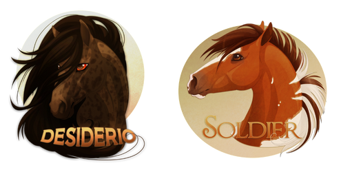 Desiderio and Soldier Badges