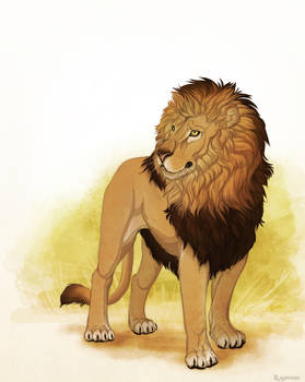 Baby the Lion