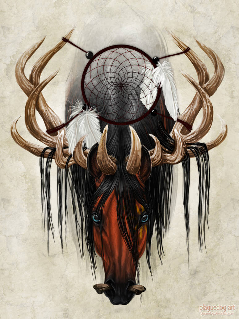 Gaucho by Plaguedog