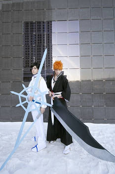 Ishida Uryuu and Kurosaki Ichigo