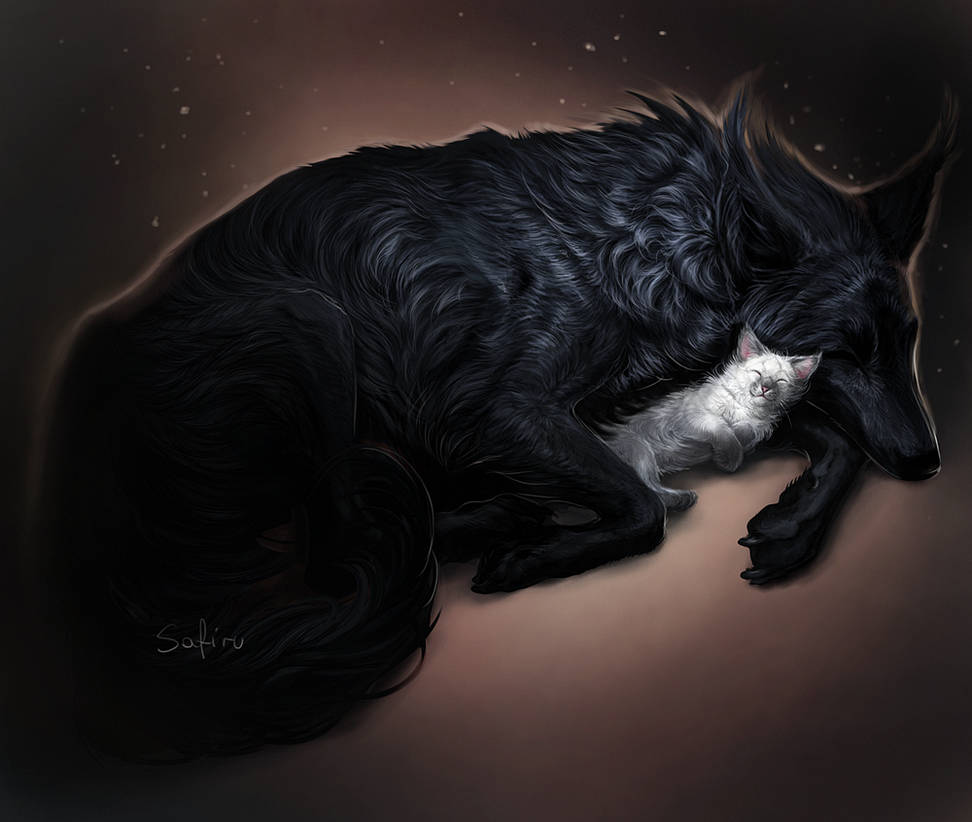 Черная собака во сне женщине к чему