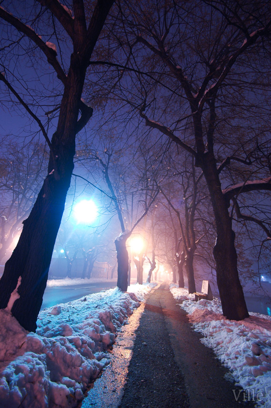 Snow alley