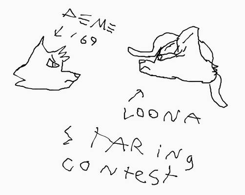 Deme169 vs Loona (staring contest)
