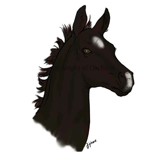 Quick Foal