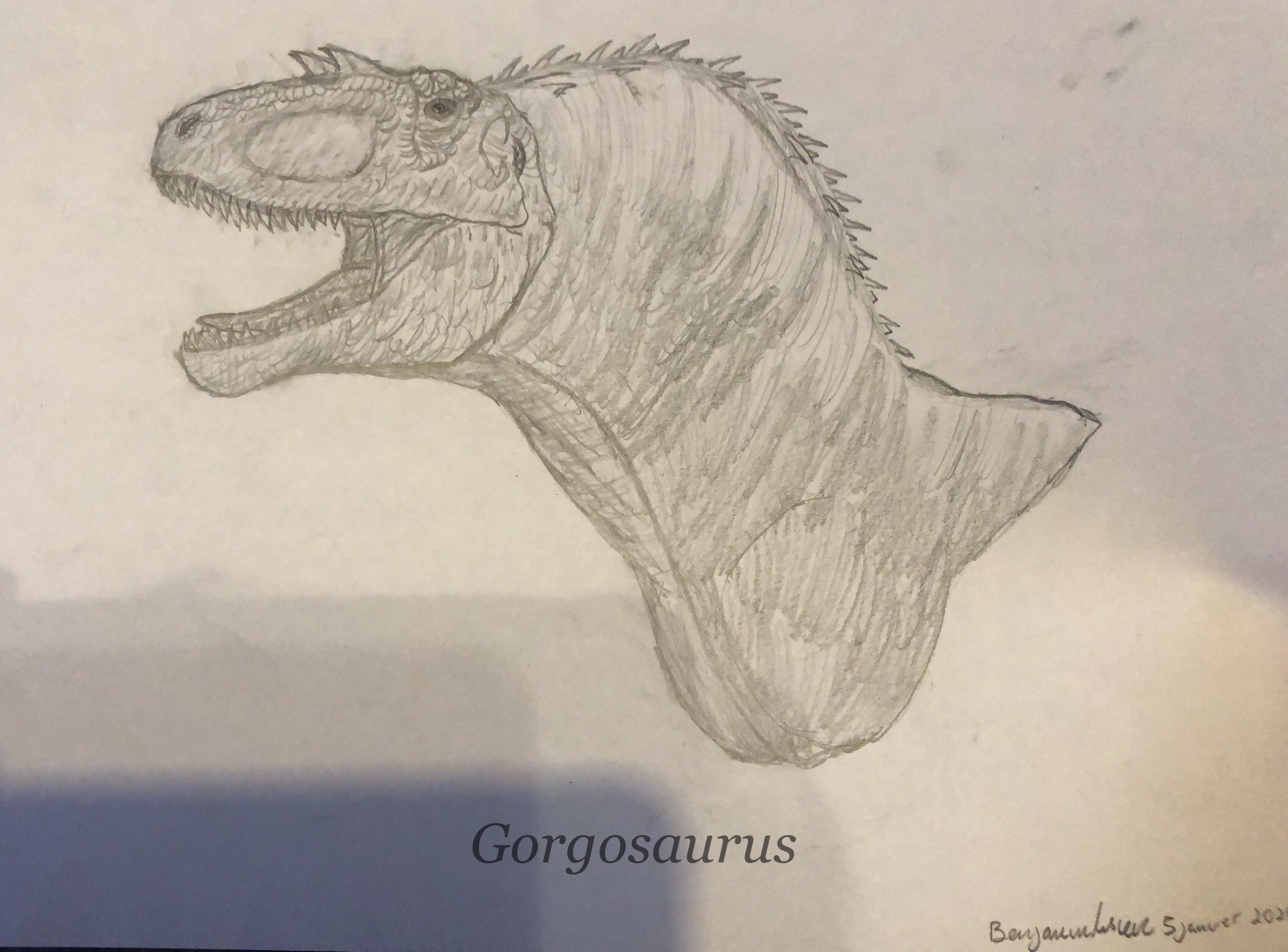 Gorgosaurus draw by BenArtLesGP on DeviantArt