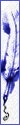 Author Tag: Twent47blue