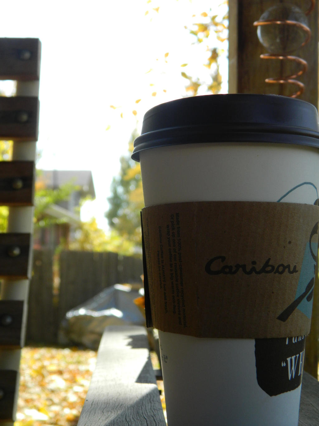 Leaves and Coffee