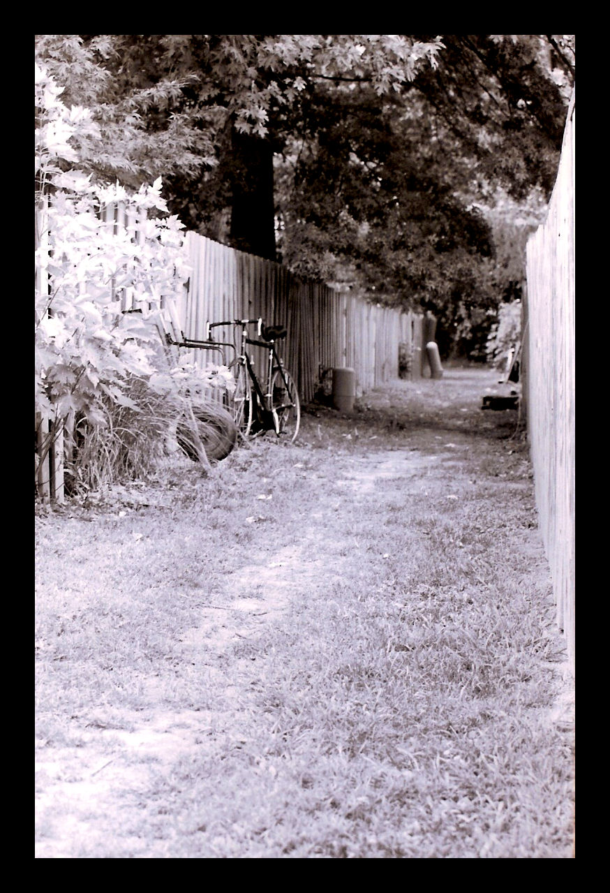 Alley Behind the Backyards