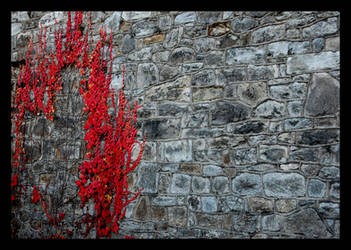 Eastern State Penitentiary 2