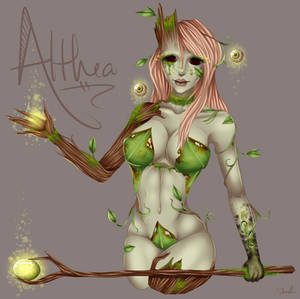 Tree Nymph Althea