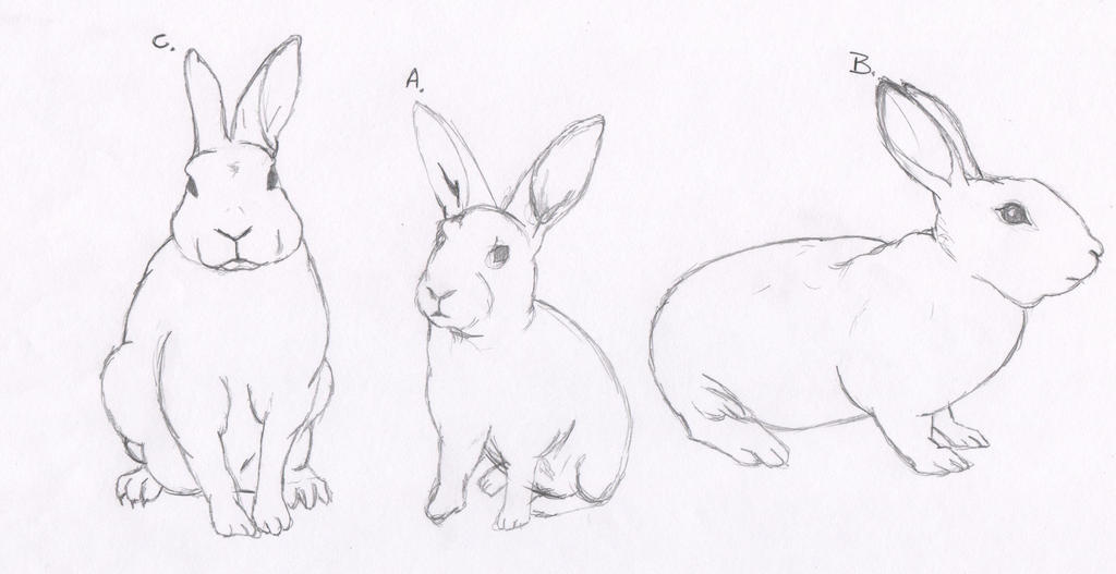 Mini Rex Graphics Mini Rex ABC by Kangen-Master on DeviantArt