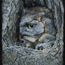 3 Owls