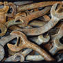 Rusted Wrenches