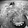 Bubbles (2)