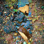 Broken (5)