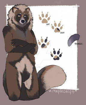 Commission | Asian Raccoon Dog