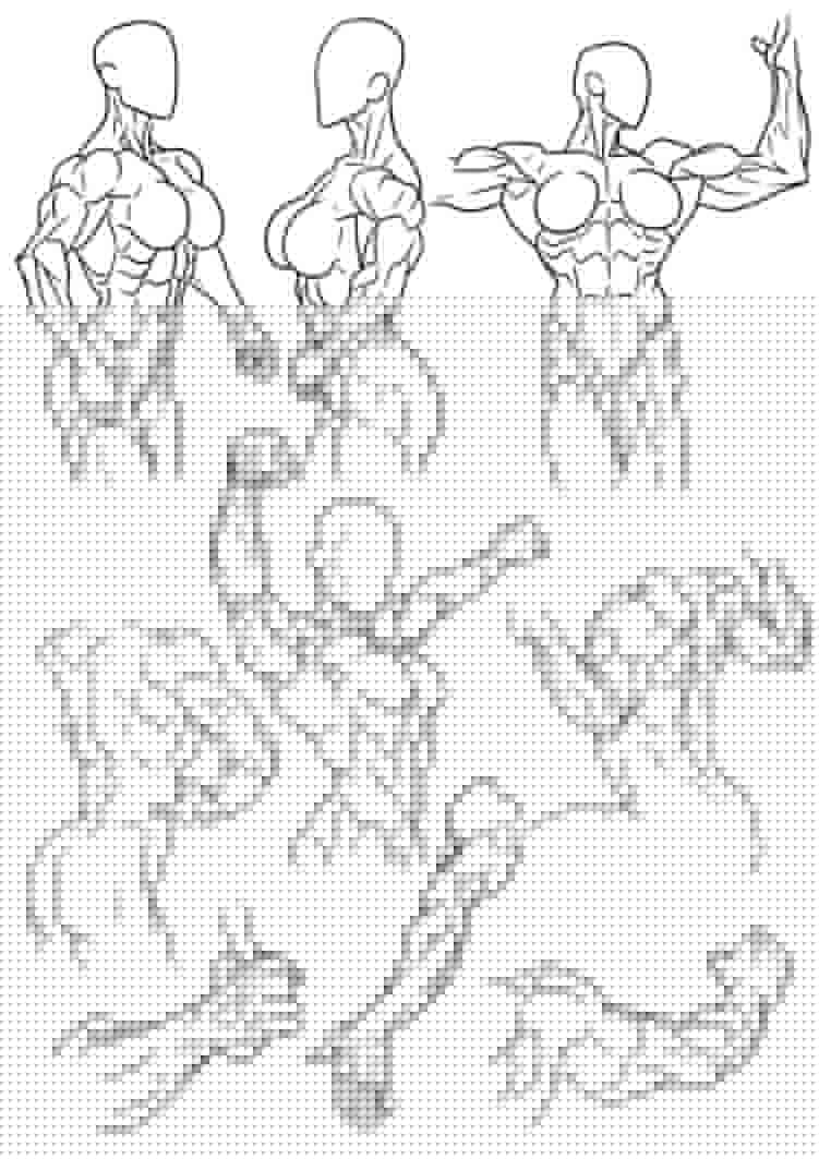 Figure Reference Female Muscle by Bambs79 on DeviantArt