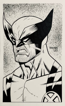 Convention Style Sketch - Wolverine