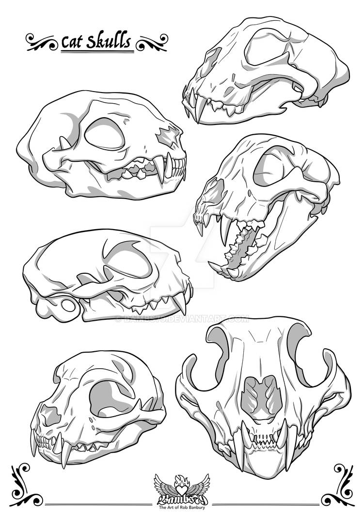Cat Skulls By Bambs79 On DeviantArt