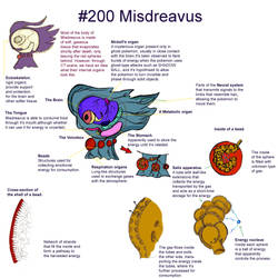 Misdreavus, an anatomy study