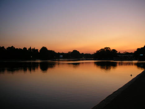 Amazing Hide Park-London