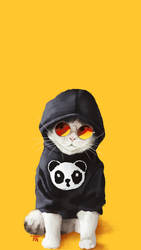 Cool cat 2