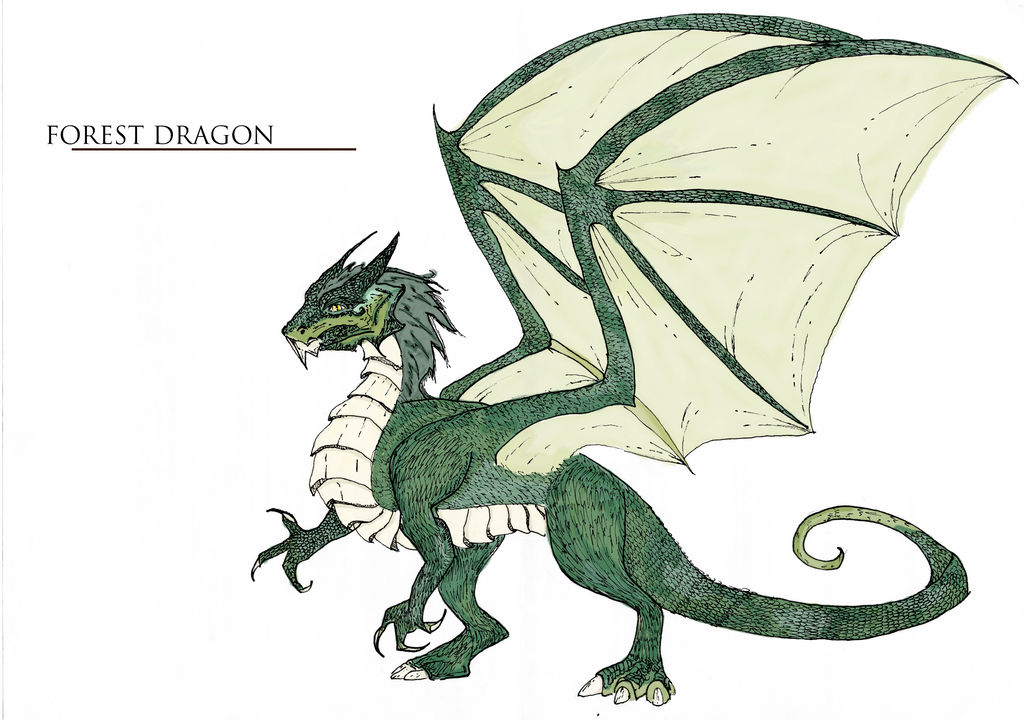 Forest Dragon Java Forest Dragon by KuroariandKarasu on DeviantArt