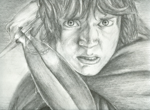 The Fall of Frodo