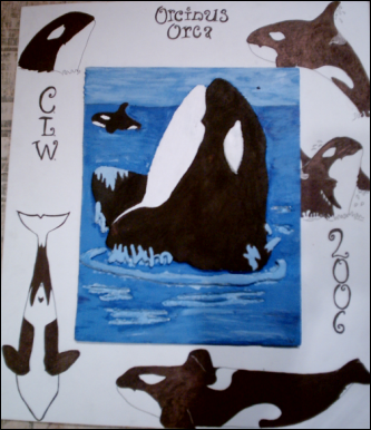 Orca Art