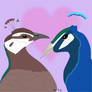 Peacock and Peahen