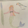 Jenday Conure Feather and Jenday Conure Mermaid