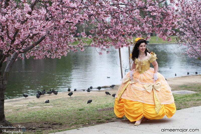 Beauty and the Beast Belle's Ballgown