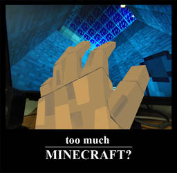 Too much Minecraft?