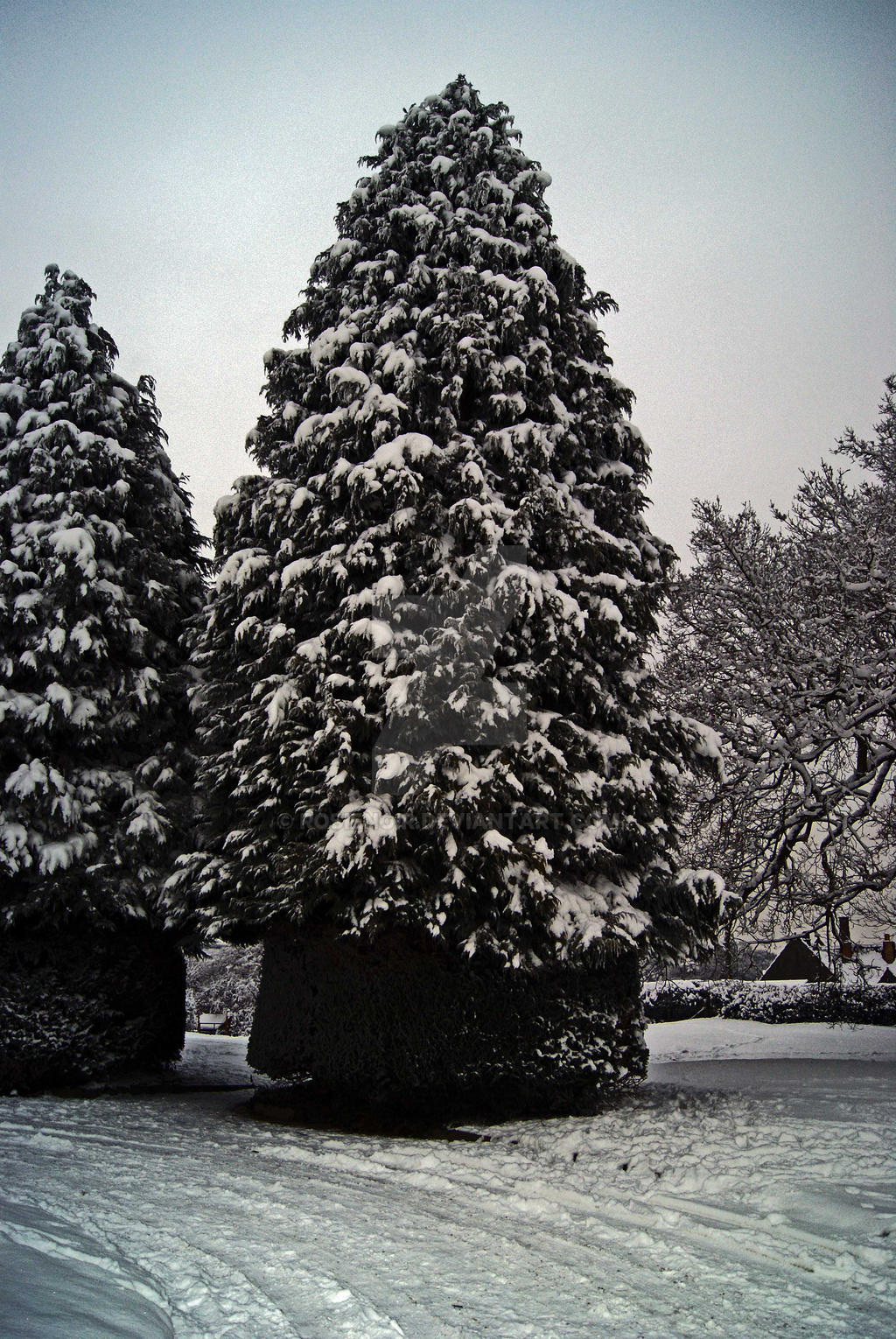 Welshpool Under Snow 13